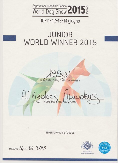 a-vigdors-amadeus-juniorworldwinner-2015