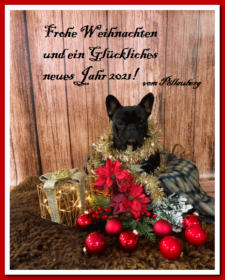 xmas_20_FB