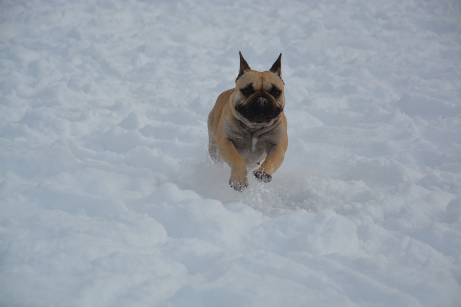 image-637