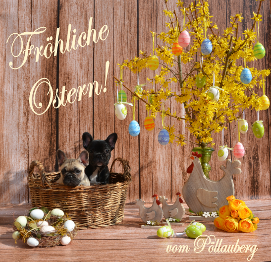 FB_-ostern20