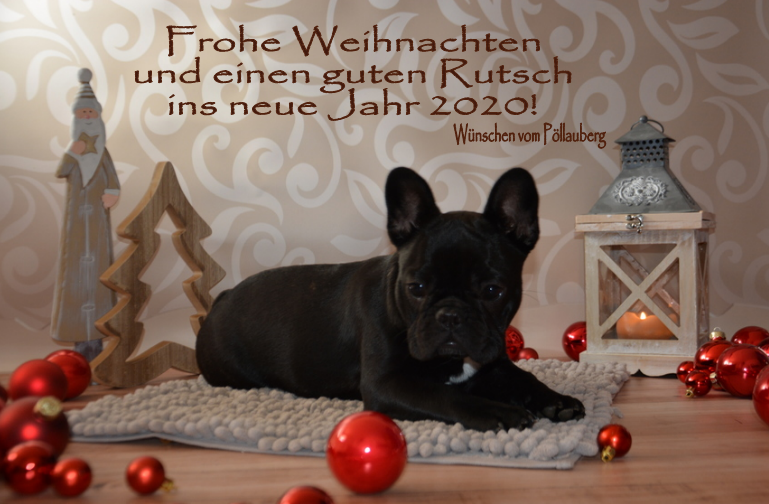 xmas_20_bully